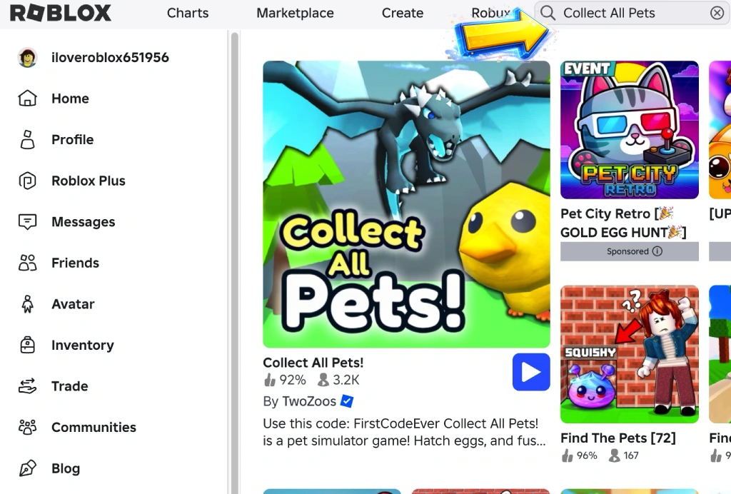 code-collect-all-pets-1