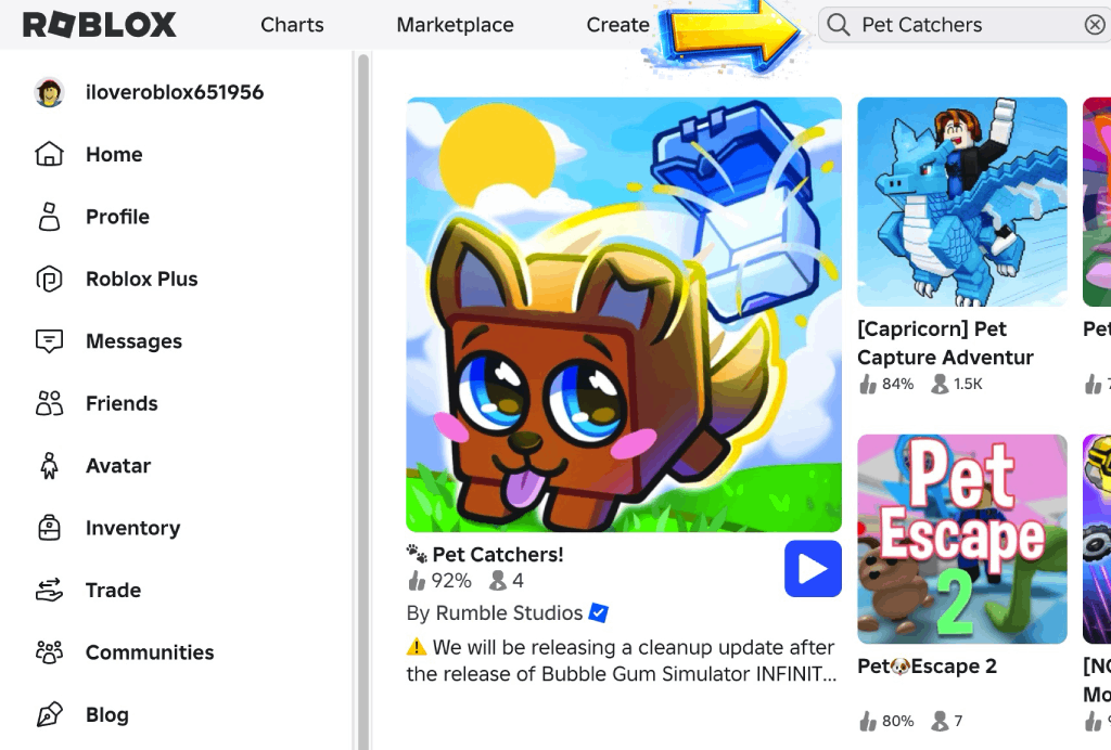 code-pet-catchers-1